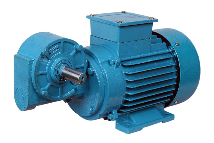 ELTEK 0.1 hp Worm Gear Motor 1.7 Nm_2