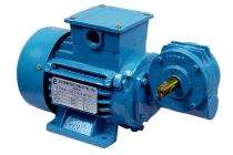 ELTEK 0.25 hp Worm Gear Motor 8.4 Nm_0