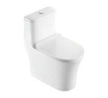 Hindware EWC with Seat Cover and Flush Aster R 92624 (S-22) Floor Mounted_0