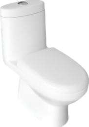 Hindware EWC with Seat Cover and Flush Immacula 92532 (S-30) Floor Mounted_0