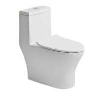 Hindware EWC with Seat Cover and Flush Essence Neo 92601 (S-30) Wall Mounted_0