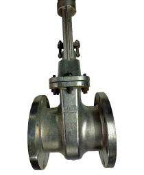 NARMA 1/2 inch Manual Stainless Steel Gate Valves Flanged_0