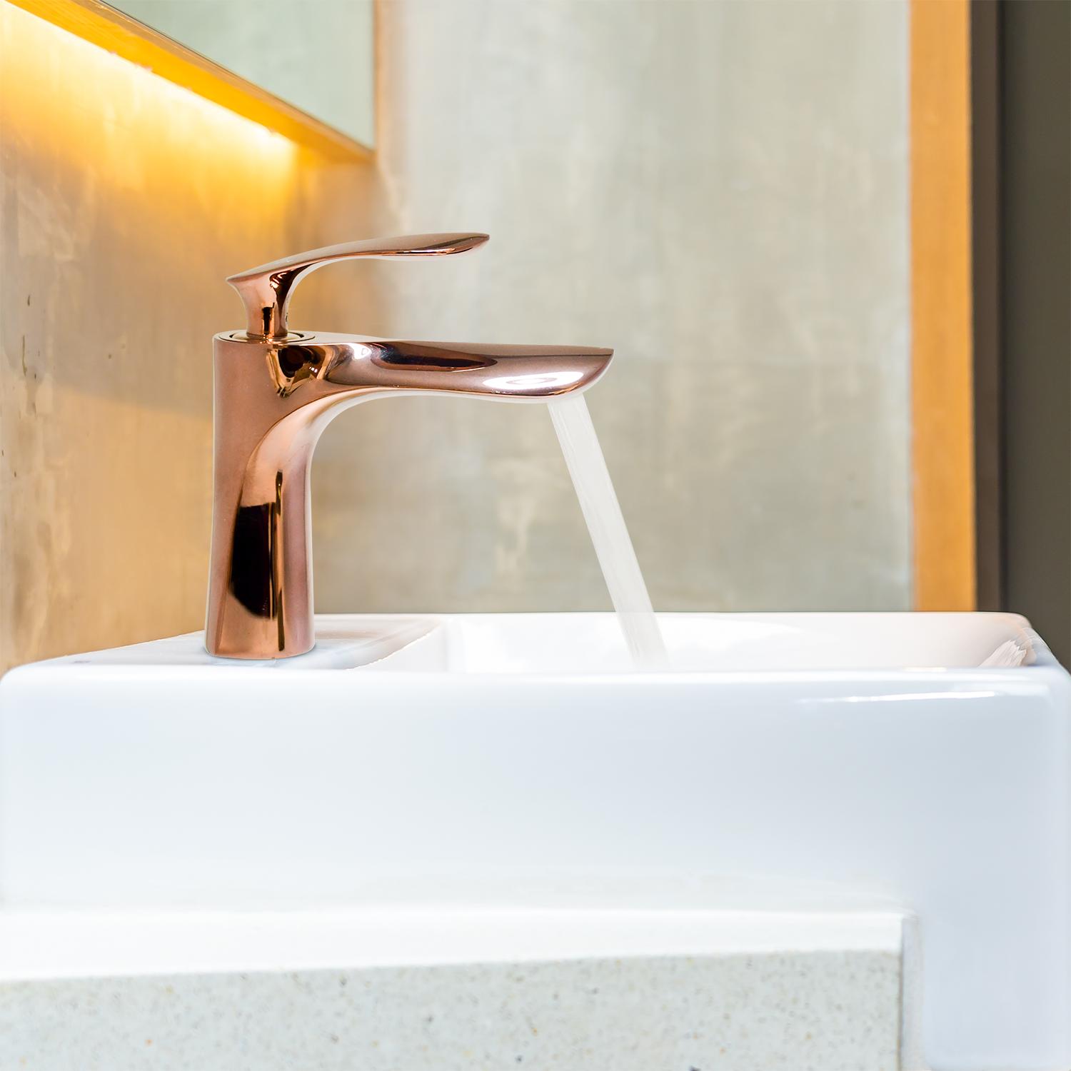 D&B Bathware Polished Basin Mixers Faucet Nautica-6117 Rose_3