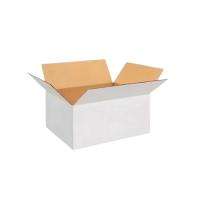 BBP Duplex 24 x 12 x 12 inch 50 kg White Corrugated Boxes_0