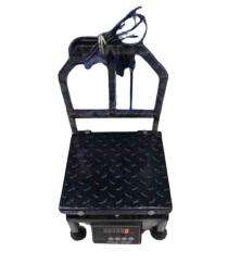 AVEX Table Top Electronic Weighing Scale 100 kg JHA100_0