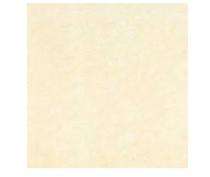 Nexion Crystal 148.5 x 600 mm Beige Glossy Vitrified Tile_0
