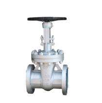 Exceed 80 mm Manual Cast Steel Gate Valves Flanged_0