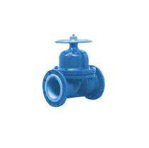 SEALMECH Manual Diaphragm Valves 3 inch Carbon Steel_0