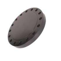 Bikaner Mild Steel Blind Flanges 378 mm_0