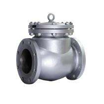 Suryam 10 inch Swing Carbon Steel Check Valves Flanged_0
