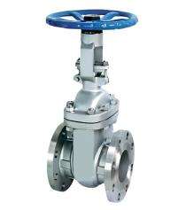 Suryam 10 inch Manual Carbon Steel Gate Valves Flanged_0