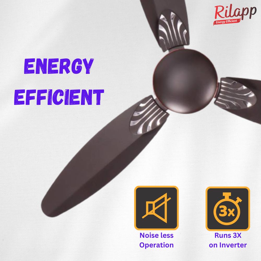 Rilapp Eco Star BLDC with Remote 1200 mm 3 Blades 28 W Smoke Brown Ceiling Fans_2