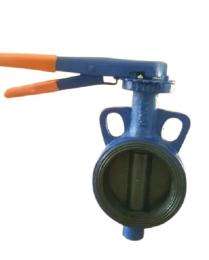 Brahmani 40 mm Manual Cast Steel Butterfly Valve Wafer Type_0