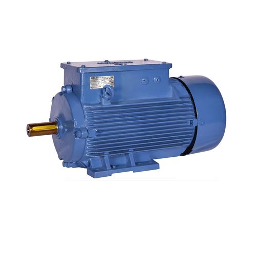 Bharat Bijlee 2H13S2N3AT000 2935 rpm Three Phase 10 hp Double Pole Foot Mounted AC Motors_1