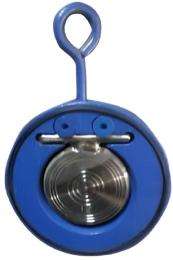 Brahmani 100 mm Wafer Cast Iron Check Valves Flanged_0