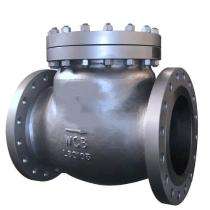 SRK 25 mm Swing WCB Check Valves Double Flanged_0