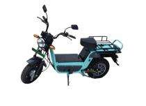 SAMPOORN EV SUPER KAPLAN 50 - 100 km 40 Ah 3 - 9 hr Electric Bike_0