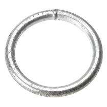 ERI 100 mm Mild Steel O Rings_0