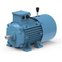 Lubi LEB Series 1500 rpm Three Phase 12.5 hp Four Pole Foot Mounted AC Motors_0