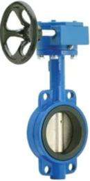 Brahmani 200 mm Gear Operated CI Butterfly Valves Flanged PN 10_0