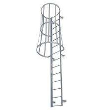 Khushi 12 ft 150 kg Ladders Mild Steel 350 kg_0