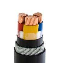 Parasavnath Copper XLPE Copper Round Wire Extruded PVC LT Power Cables 3 Core 2.5 sqmm 1.1 kV_0