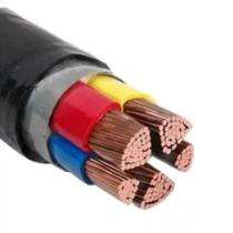 Parasavnath Copper XLPE Copper Round Wire Extruded PVC LT Power Cables 5 Core 2.5 sqmm 1.1 kV_0