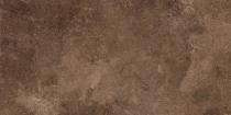 HKN Woodland Teak Plus 200 x 300 mm Brown Glossy Porcelain Tile_0