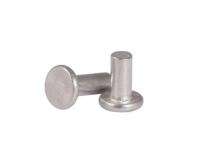 GNB Flat Head Rivet M16 Stainless Steel_0
