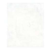 SOMANY DURASTONE 300 x 300 mm White Glossy Ceramic Tile_0