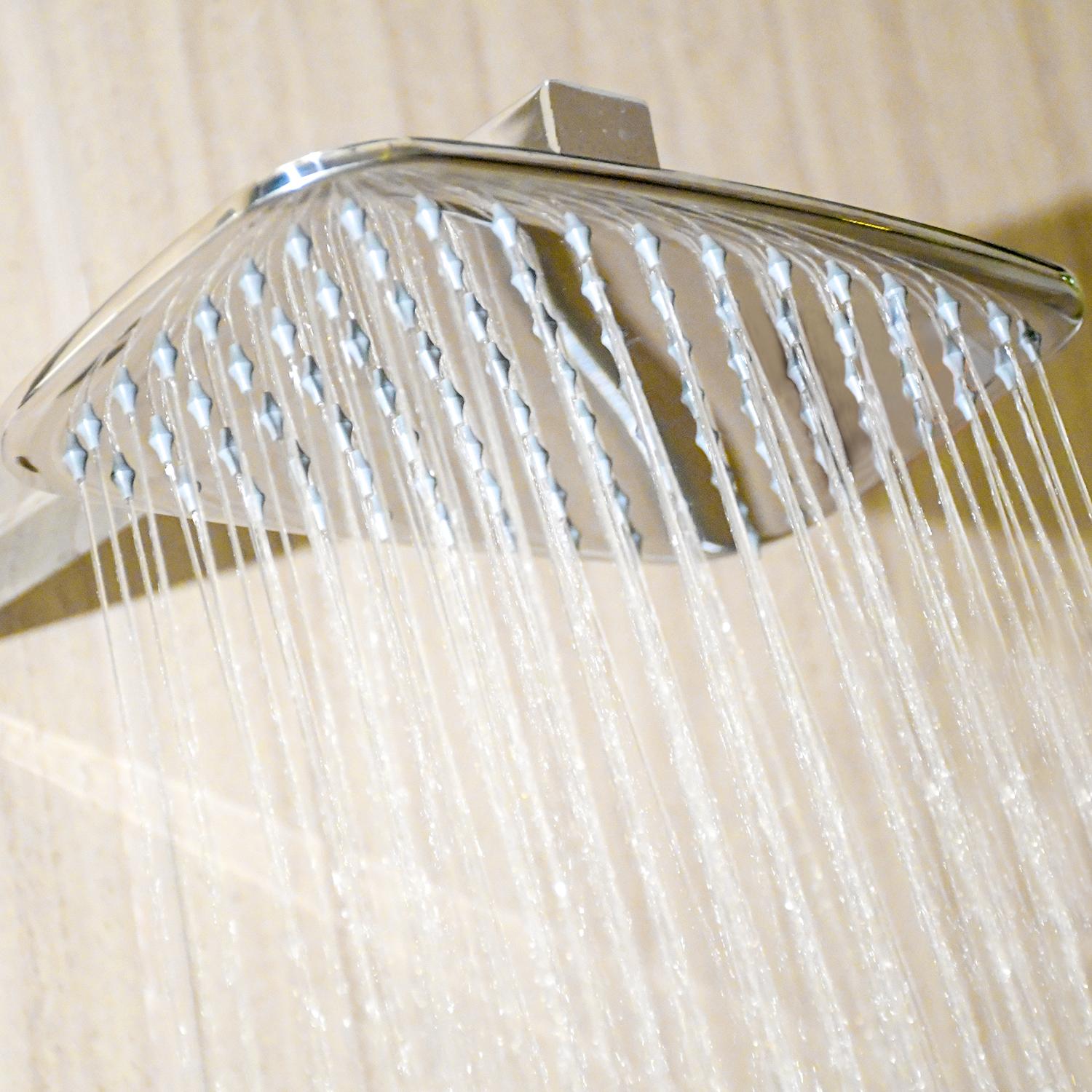 D&B Bathware SUS-304 Float Shower Overhead Single Flow Shower 6 x 10 cm Brass_2