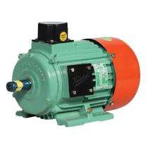 Kirloskar SC200L 1000 rpm Three Phase 60 hp Six Pole Foot Mounted AC Motors_0