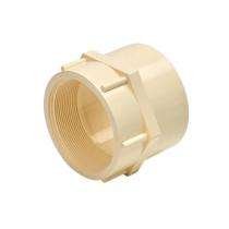 Dulet 25 mm CPVC Adaptors Female Threaded_0