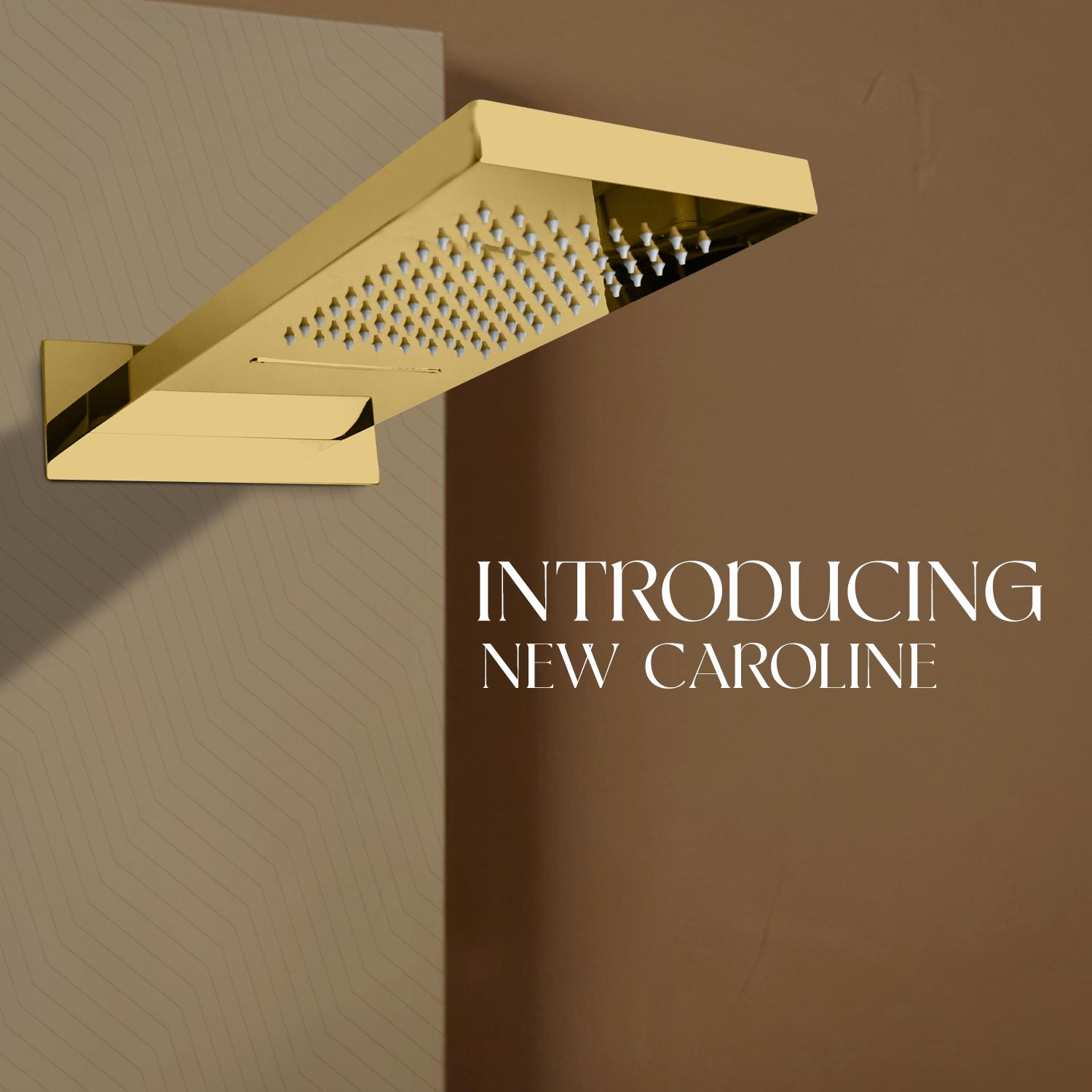 D&B Bathware DB-CLSWR8889-2F(CAROLINE G ) Overhead Single Flow Shower 500 x 200 mm Brass_1