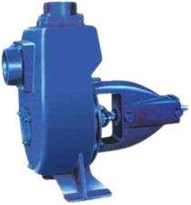 Cast Iron 1 - 25 hp Slurry and Sludge Pumps_0