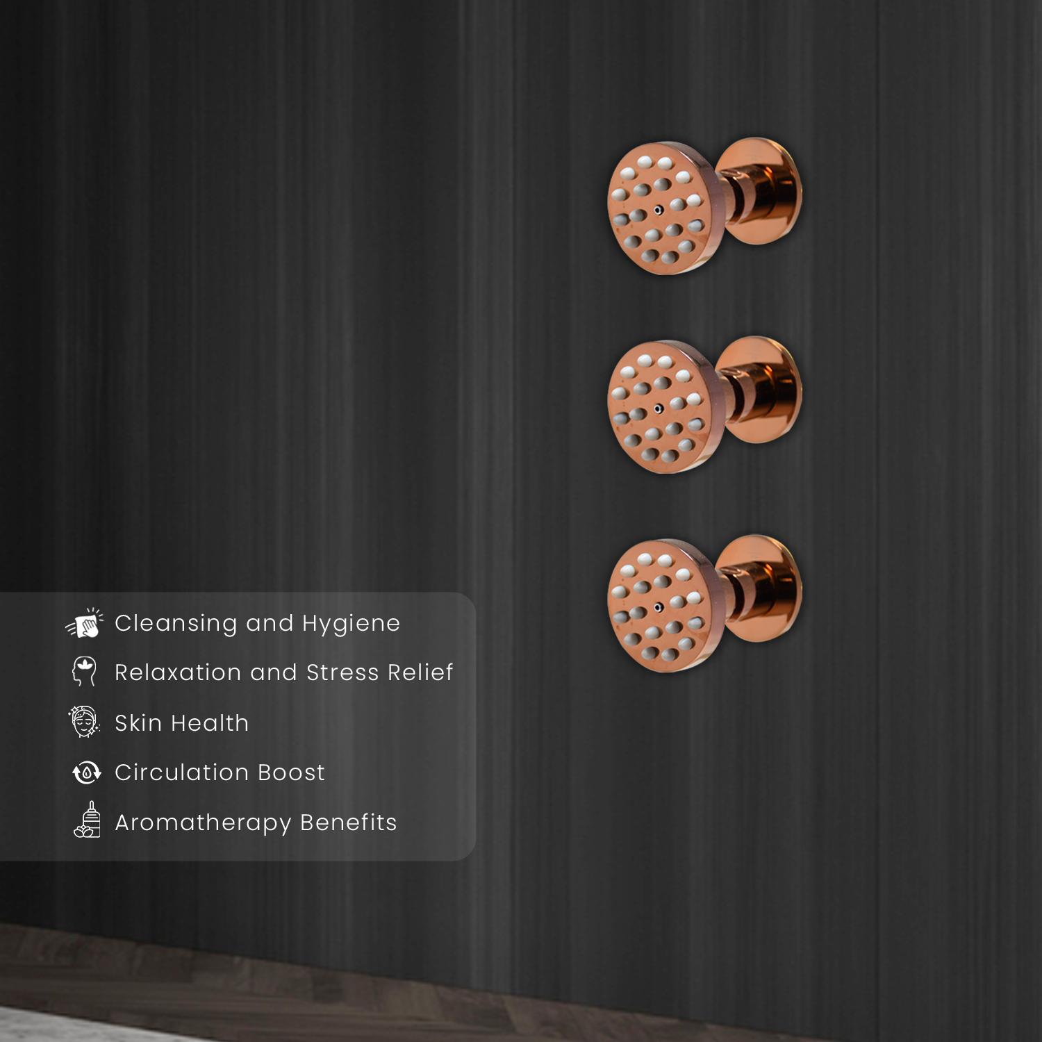 D&B Bathware DB-BDYSWR1052-RND Body Shower 70 mm Brass_1