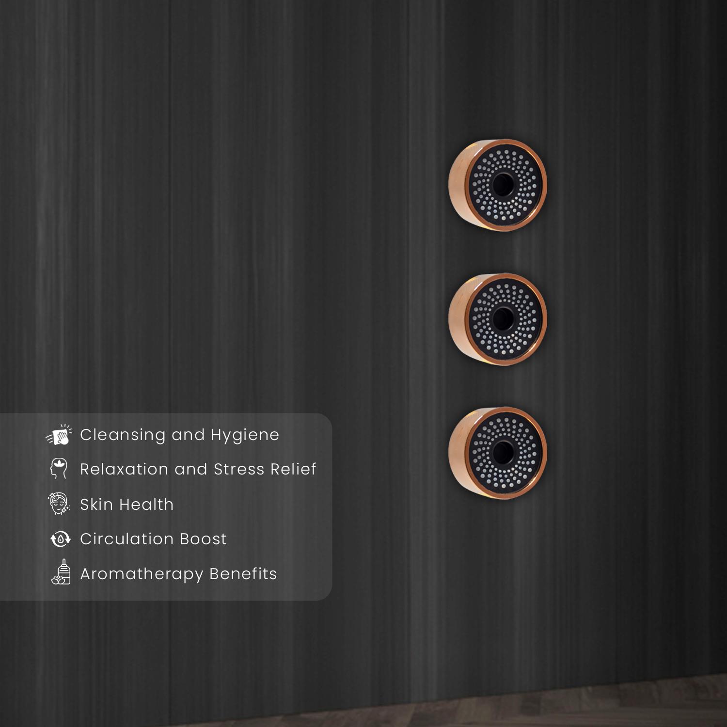 D&B Bathware DB-LMNBDS9595-DRF Body Shower 70 mm Brass_1