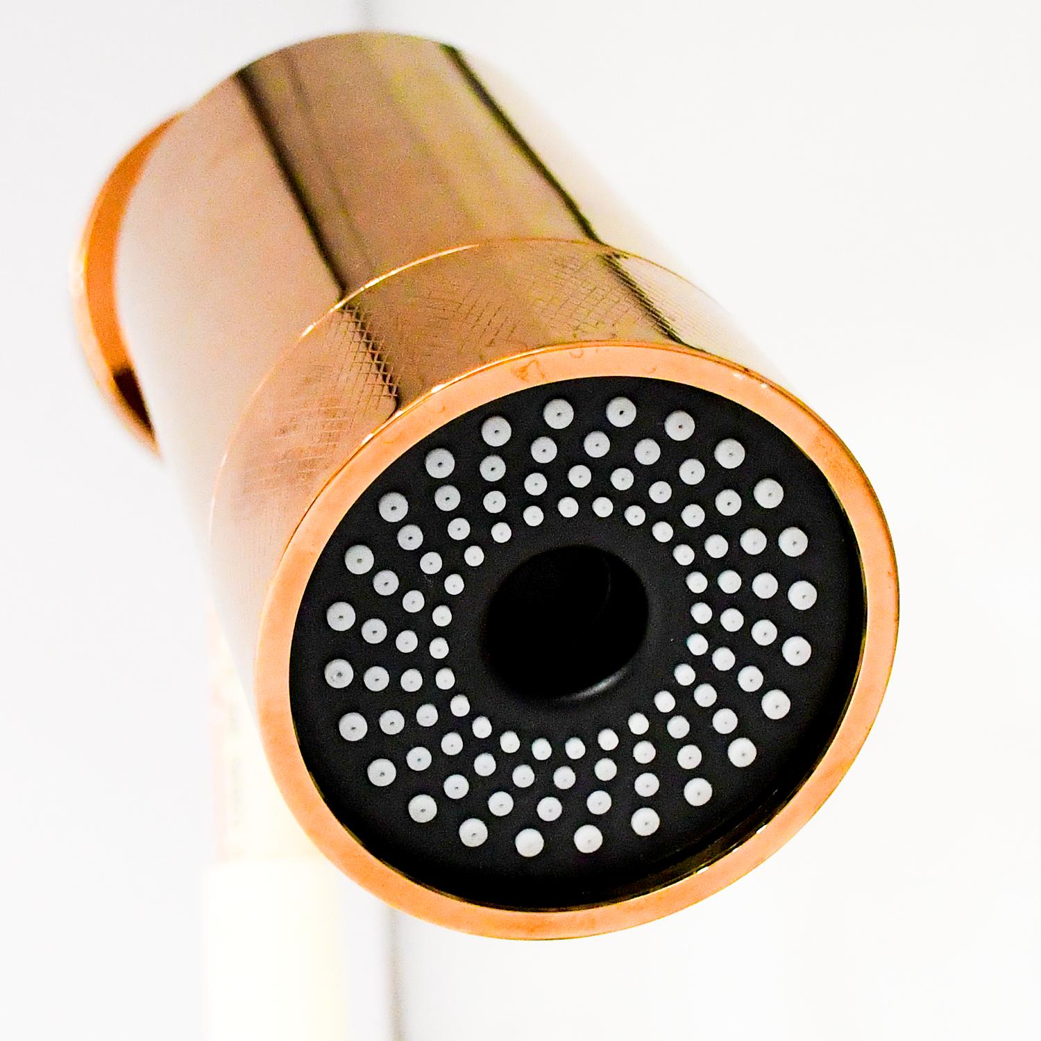 D&B Bathware Overhead Single Flow Shower 70 mm Brass_1