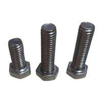 EVA M10 Stainless Steel Hexagon Head Bolts SS 304 150 mm DIN 933_0