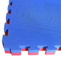 Floor Mats Interlocking Rubber 1000 x 1000 mm Blue and Pink_0