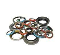 Aryan 100 mm EPDM Oil Seals OSEALS01 5 mm_0