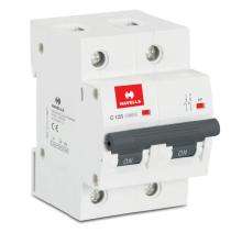 HAVELLS DHMJCDPF125 Double Pole 125 A C MCB_0