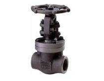 VI 50 mm Manual Forged Carbon Steel Gate Valves Screwed_0