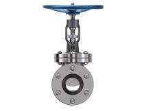 VI 125 mm Manual Cast Iron Globe Valves Flanged_0