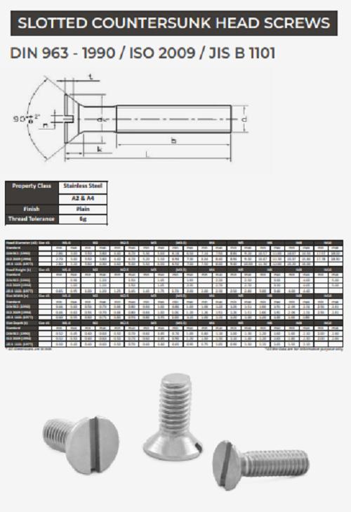 EVA Slotted Pan Head Screw ISO 2009_1