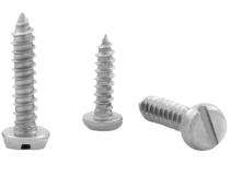 EVA Slotted Pan Head Screw ISO 1481_0