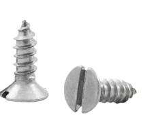 EVA Slotted Pan Head Screw DIN 7972_0