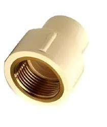 Gupta CPVC Reducer FTAs 25 mm_0