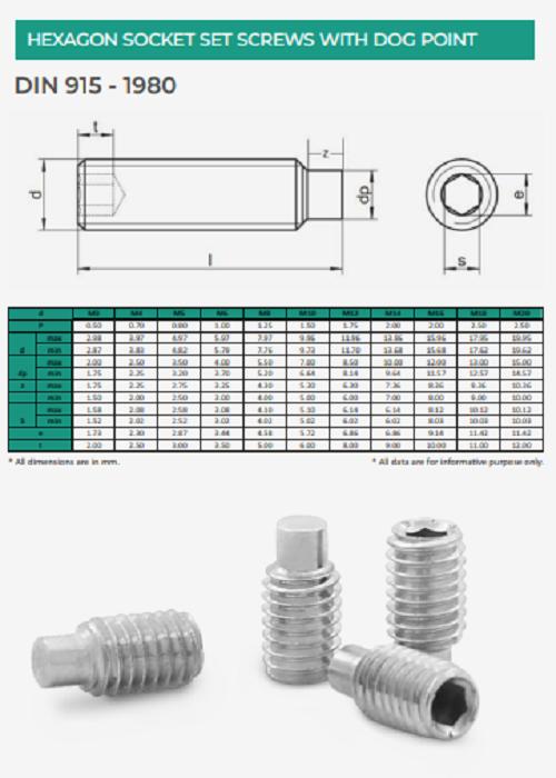 EVA Stainless Steel M4 Grub Screw 150 mm DIN 915_1