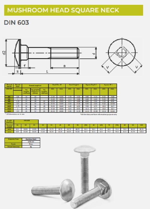 EVA Cup Head Square Neck Carriage Bolt M6 DIN 603 SS 304_1